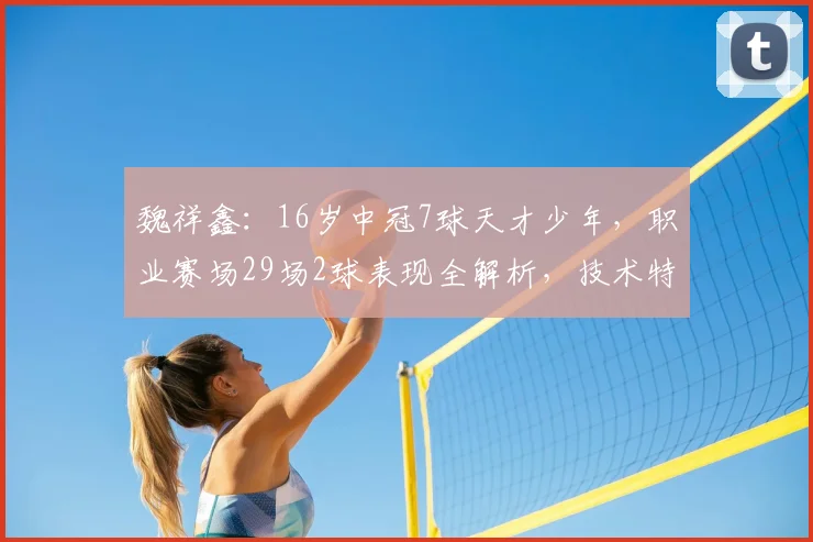 魏祥鑫:16岁中冠7球天才少年,职业赛场29场2球表现全解析,技术特点与未来前景深度探讨
