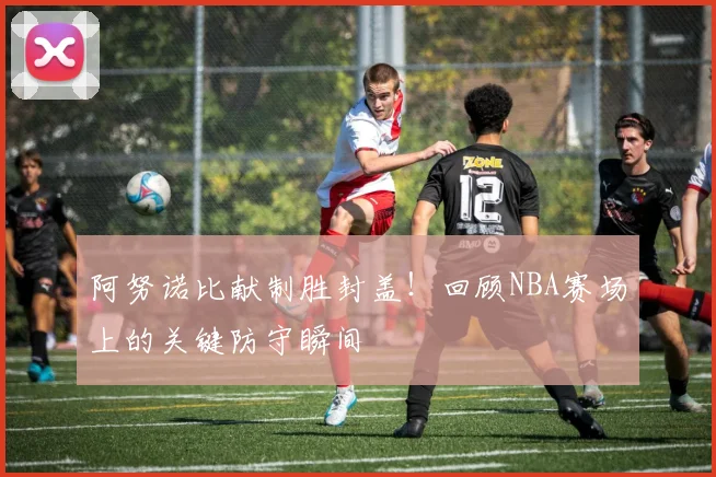 阿努诺比献制胜封盖！回顾NBA赛场上的关键防守瞬间