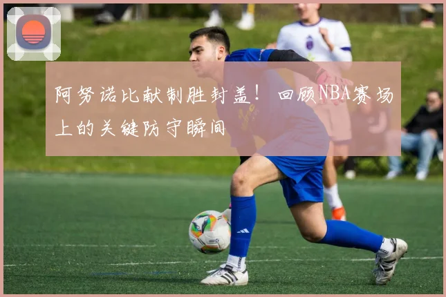 阿努诺比献制胜封盖！回顾NBA赛场上的关键防守瞬间