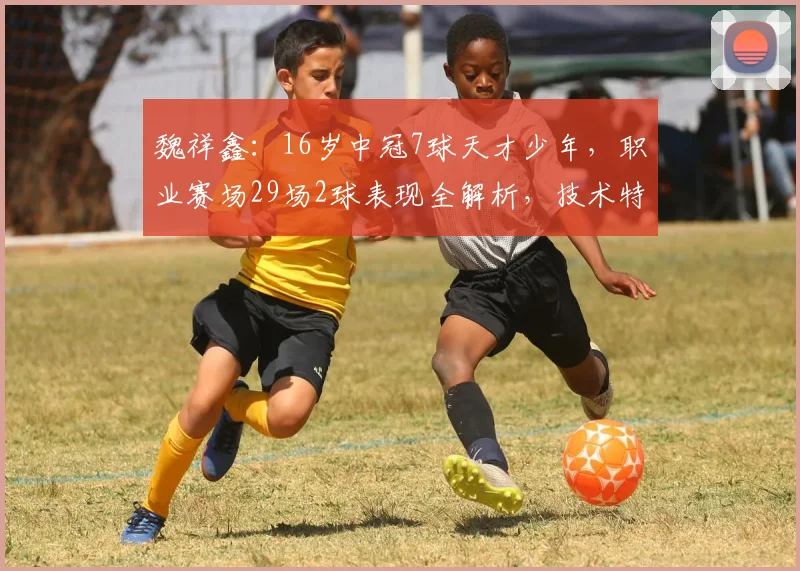 魏祥鑫：16岁中冠7球天才少年，职业赛场29场2球表现全解析，技术特点与未来前景深度探讨